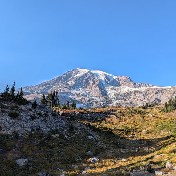 Meet your Posher, Dania - Picture 1 of 1